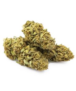 Peanut Butter Breath Cannabis (Hybrid)