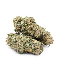 Animal Cookies Cannabis (Indica)