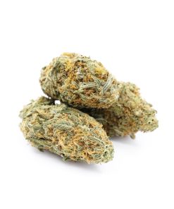 Honey Cream Cannabis (Indica)