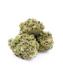 Pink Kush Cannabis (Indica)