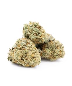 Master Kush Cannabis (Indica)