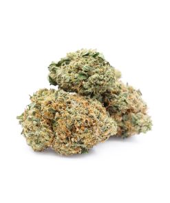 Miracle Alien Cookies Cannabis (Hybrid)