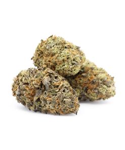 Zelato Ice Cannabis (Hybrid)